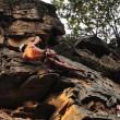 Cina, scala nudo 100 metri di montagna rocciosa01
