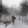 Hercules, la tempesta di neve che sta colpendo New York e 22 stati Usa01
