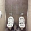 Il bagno con 2 wc alle Olimpiadi di Sochi02