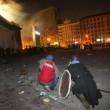 Kiev, 120 agenti feriti, 80 in ospedale. Scontri fermi, scatta la tregua09