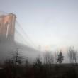 New york si risveglia sotto la nebbia03