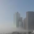 New york si risveglia sotto la nebbia02