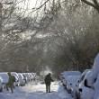Nuove tempeste di neve paralizzano New York e il nord-est11