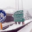 Maltempo, neve blocca il nord Italia 5
