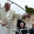 Papa Francesco, lo spogliarellista Ghyblj: “Il pappagallo è mio” (foto)