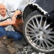 La cagnetta di famiglia distrugge a morsi l'Aston Martin04