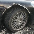 La cagnetta di famiglia distrugge a morsi l'Aston Martin02