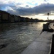Maltempo Pisa: attesa per la piena dell'Arno, paura in città 07