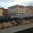 Maltempo Pisa: attesa per la piena dell'Arno, paura in città 09