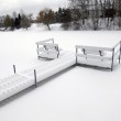 Maltempo negli Usa provoca 8 morti. 120 mln americani sotto la neve14