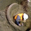 Zanna di mammuth lunga 2,60m trovata per caso a Seattle01