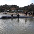 Carcassa di balena lunga 10 metri su spiaggia della Tunisia04