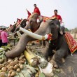 La Thailandia festeggia gli elefanti con buffet di frutta e verdura05