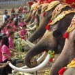 La Thailandia festeggia gli elefanti con buffet di frutta e verdura06
