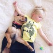 L'amore tra Beau e il cagnolino Theo diventa virale sul web08
