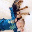 L'amore tra Beau e il cagnolino Theo diventa virale sul web07