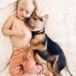 L'amore tra Beau e il cagnolino Theo diventa virale sul web05