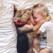 L'amore tra Beau e il cagnolino Theo diventa virale sul web01