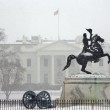 Nuove bufere di neve colpiscono Washington e il nord est degli Usa02