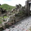 Pompei, 2 crolli in Tempio di Venere e Porta Nocera01
