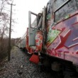 Incidente ferroviario sulla linea Catanzaro-Cosenza04