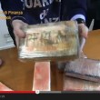 Federica Gagliardi, 24 kg di coca nel trolley rosa: VIDEO della Guardia di Finanza