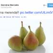 Carolina Marcialis twitta 4 pere dopo Milan-Parma. Cassano: "Per la dieta"