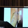 Oscar Pistorius, processo: porta del bagno in aula per perizia09