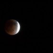 La Luna rossa: l'eclissi lunare vista negli Stati Uniti04