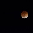 La Luna rossa: l'eclissi lunare vista negli Stati Uniti05