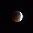 La Luna rossa: l'eclissi lunare vista negli Stati Uniti07