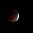 La Luna rossa: l'eclissi lunare vista negli Stati Uniti09