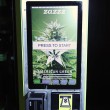 Zazzz, il primo distributore di marijuana negli Usa01