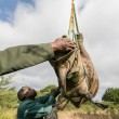 Rinoceronti a rischio estinzione: in Sudafrica si salvano agganciandoli all'elicottero05