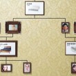 letti Ikea, pubblicità con albero genealogico04