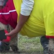 Colombia, quando le pecore giocano a calcio (VIDEO-FOTO) - 4