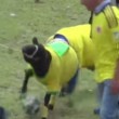 Colombia, quando le pecore giocano a calcio (VIDEO-FOTO) - 7