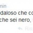 Mario Balotelli: su Twitter e Facebook i pro (Vendola) e i contro (Salvini)03