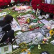 Michael Jackson moriva 5 anni fa: fan spargono 15 rose sulla tomba07