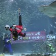 Mondiali 2014, sub palleggia sott'acqua per incoraggiare la nazionale della Corea del Sud02