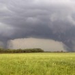 Tornado e tempesta in Nebraska: muore bimbo di 5 anni09