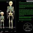 Anatomedia: dissezionare corpi con software per autopsia virtuale (foto-video)