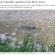 Bristol, caccia al coccodrillov nel fiume Avon: nuovo avvistamento e foto