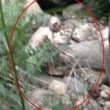 Cina, mistero del Gollum. Turista fotografa strana creatura nel bosco 1