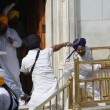 India, la guerriglia dei sikh al Tempio d'Oro di Amristar: scimitarre e bastoni 02
