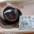 Tuna-eyeball