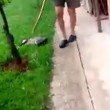Uccide il gatto e lo prende a bastonate. Il vicino lo riprende, ora le minacce di morte FOTO-VIDEO 3