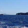 Costa Concordia in navigazione verso Genova26