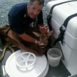 Cucciolo di capriolo cade in mare in Liguria02