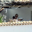 Pamela Anderson in Sardegna di nuovo col marito Rick Salomon07